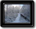 3_LCPNT Winter